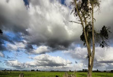 “马背上的星星”关爱孤独症儿童马术疗愈公益活动举办.