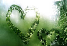 “马背上的星星”关爱孤独症儿童马术疗愈公益活动举办.