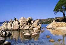 NG28:米体:尤文今夏锋线引援首选奥斯梅恩,DV9和穆阿尼可能都不留队.